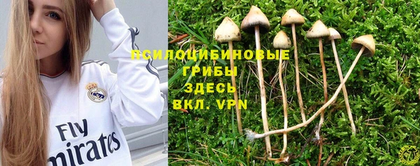 2c-b Иннополис