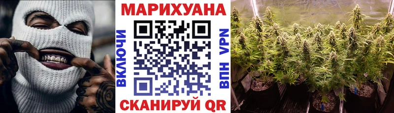 где найти наркотики Андреаполь Каннабис Bruce Banner